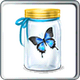 Butterfly in a Jar