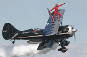 Wingwalk 1 web