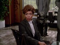 Bingham-airwolf II.jpg (33 KB) Lillian Lehman as Bingham, another member of the F.I.R.M. committee.