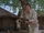 AKM-Hathaway-short walk to freedom.jpg