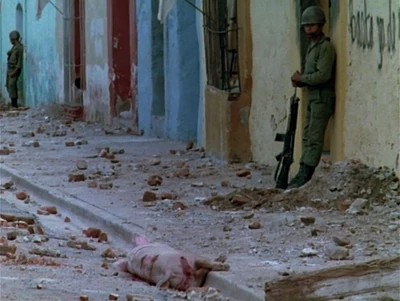 Stock footage of government soldier holding his G3.