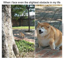 This me now.jpg