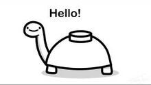 Mine turtle is cool.jpeg