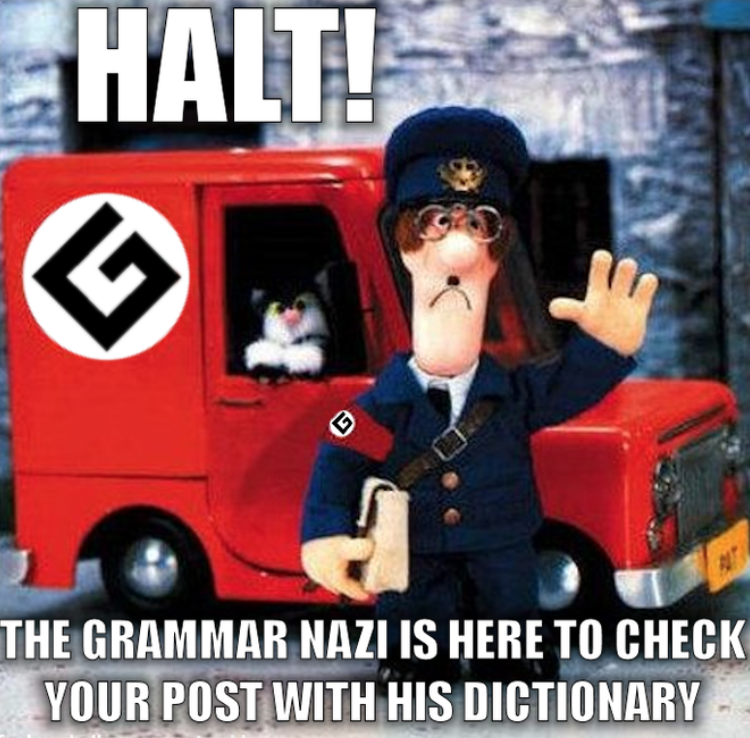 grammar nazi cat meme