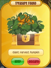 Giant Harvest Pumpkin