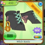 Witchbootsg.png