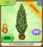 Lit Ornamental Cedar
