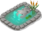 Hippo pond
