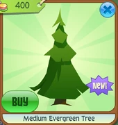 Medium evergreen tree