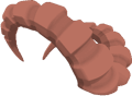 Ibex horns 1