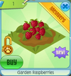 GardenRaspberries.png