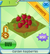 GardenRaspberries