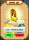 Old timey elevator.jpeg