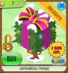 Jamaaliday Hedge | Animal Jam Item Worth Wiki | Fandom