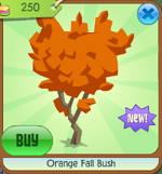 Orange Fall Bush