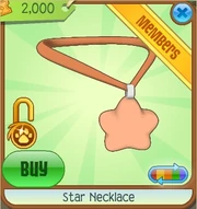 Star Necklace4.png