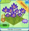 GardenCrocuses.jpg