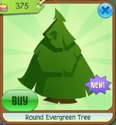 Round evergreen tree