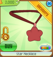 Star Necklace5.png
