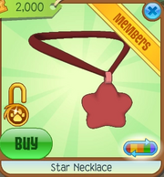 Star Necklace5