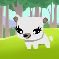 Meagyn's Pet Bear