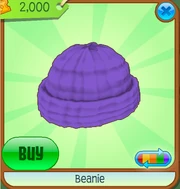 Beanie5