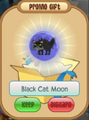 Black Cat Moon.png