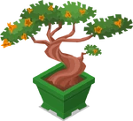 Bonsai 9