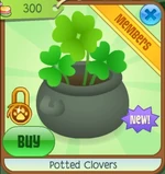 Pottedclovers1348
