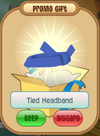 Tiedheadband.PNG