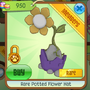 RarePottedFlowerHat