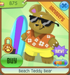 Beach teddy bear.PNG