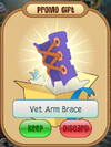 VetArmBrace (1).png
