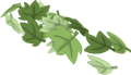 Summer Leaf Tail