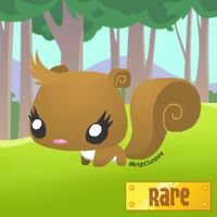 Rare Pet Squirrel
