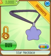 Star Necklace8.png