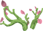 Rare spring branch antlers