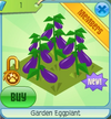 GardenEggplant