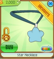 Star Necklace3.png
