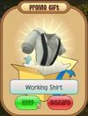 Working shirt.jpeg