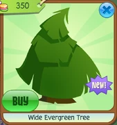 Wide Evergreen Tree