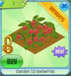 GardenStrawberries