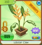 Treetop-Gardens Lobster-Claw Yellow