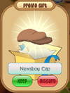 Newsboy cap promo.png