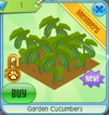 GardenCucumbers