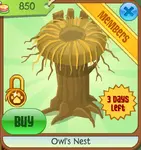 Owl's-nest-shop.PNG