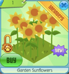 Gardensunflowers.png
