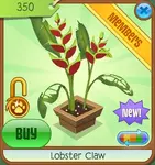 Treetop-Gardens Lobster-Claw Red