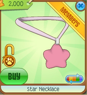 Star Necklace2.png