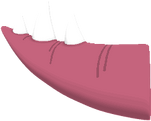 Pink Rare Stegosaurus Tail